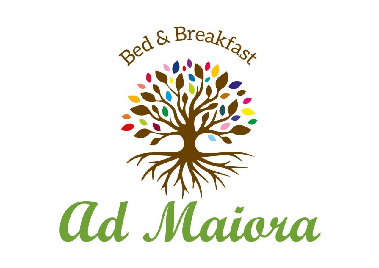 Alojamento de Acomodação e Pequeno-almoço Ad Maiora